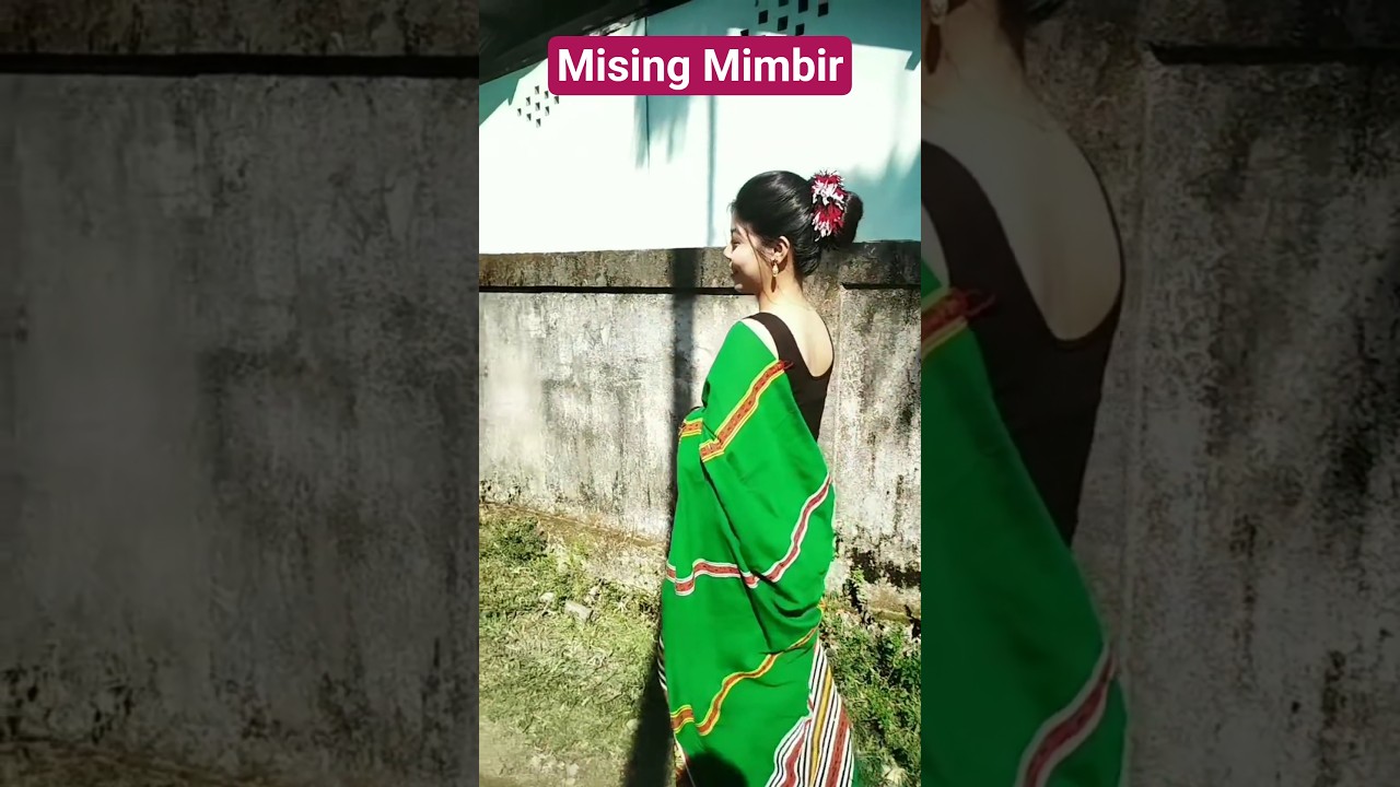 Mising Traditional Dress 