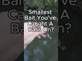 Days In A Row (Day 81) Smallest Lure  #bassfishing #fishing #bass #shorts