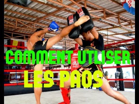 Paos & Pattes d'ours Boxe, Muay Thai, kickboxing – Tigre Thai