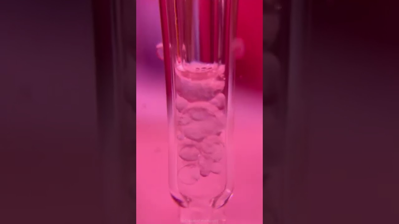 Pixi Beauty +Rose Essence oil texture shots