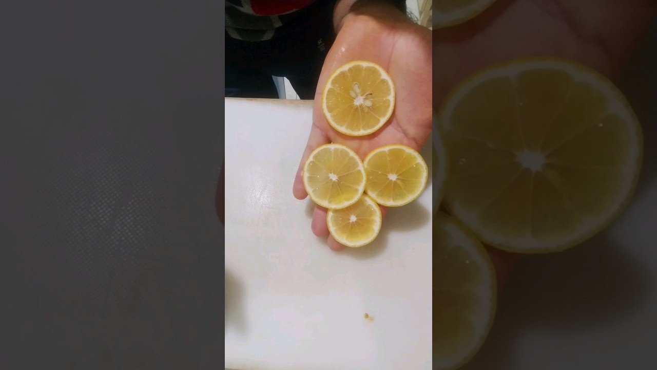 How to cut perfect lemon slices