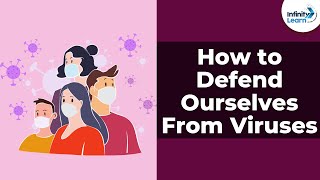 How to Defend Ourselves From Viruses - Coronavirus Part 3/7 | Don't Memorise