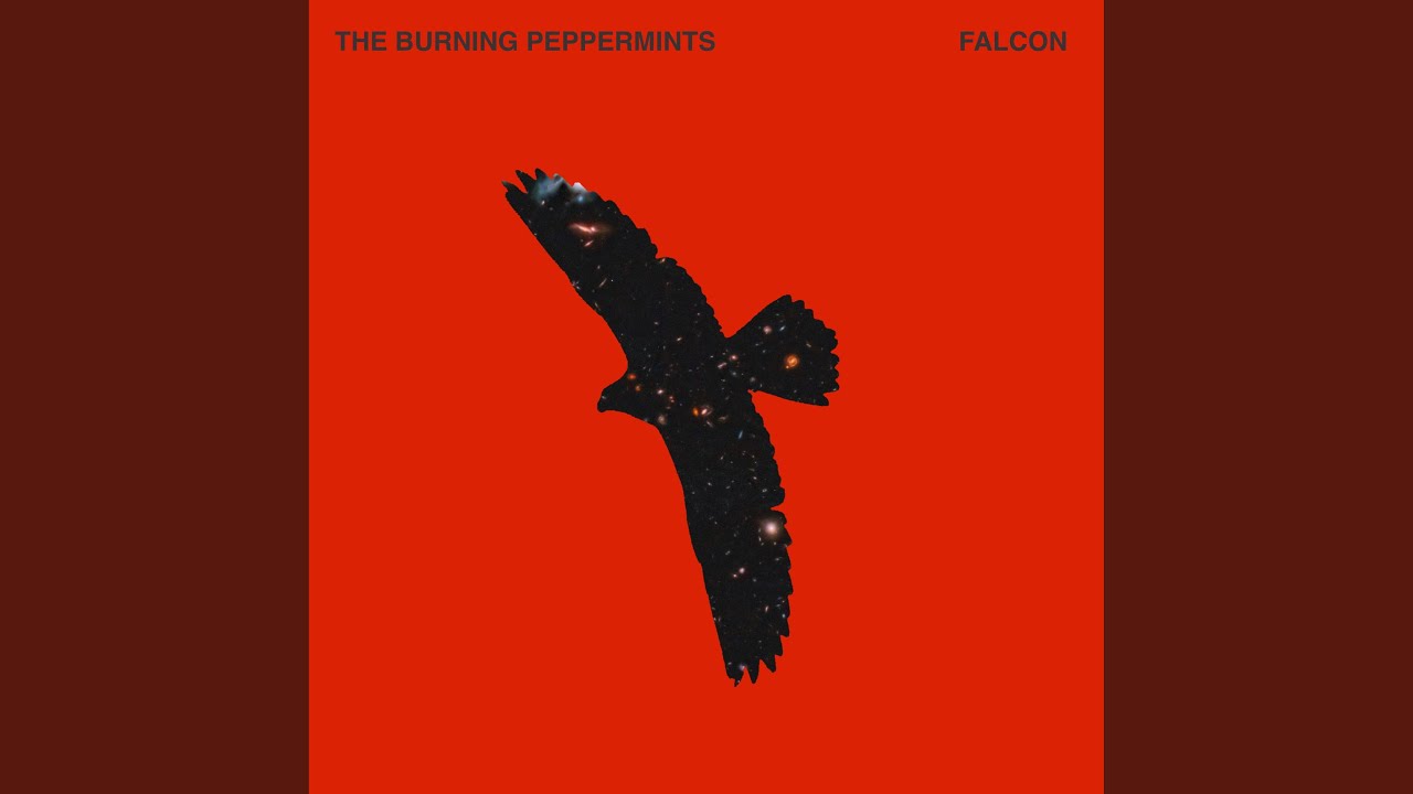 Watch Falcon on YouTube Watch Falcon on YouTube