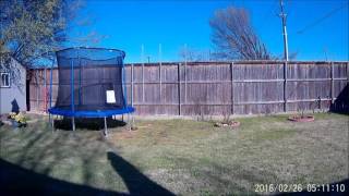 CC3D revo gps libre wont arm position lock fixed Net Worth