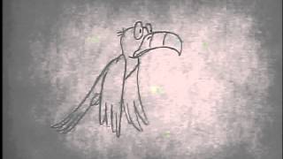 Bird Flight Animation