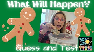 Gingerbread Science...What Will Happen @happyplacetogrow
