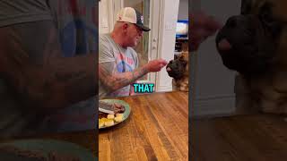 Celebrity Shares The Same Fork With His Dog? 🥩
