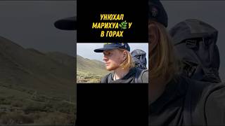 Дичка в Казахстане, пока шел на озеро Каинды обнаружил такие вот кусты.