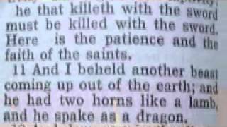 1147 Revelation 13 Chronological Bible (The Leopard and Lamb)