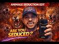 ARE YOU SEDUCED? ANIMALE SEDUCTION EDT