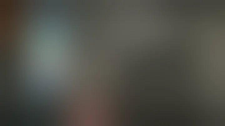 Ruger P95 with 17 Rd Magazine