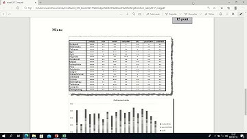 2017 május emelt szintű informatika MS Excel Pollenjelentés 2
