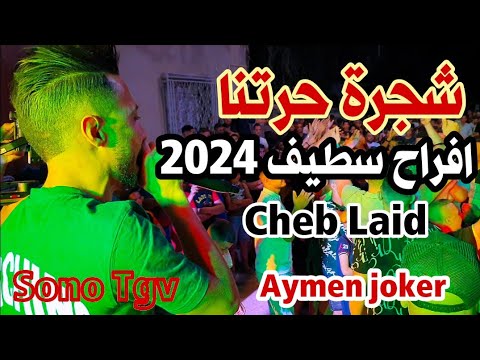 Cheb Laid Amine Lmaws Staifi 2024 By Aymen Joker اغنية سطايفي شجرة حرتنا 