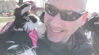 Hanni Hooligan Im Sportforum Ostberlin Bfc Dynamo - Fsv Luckenwalde 20 20.03.2022