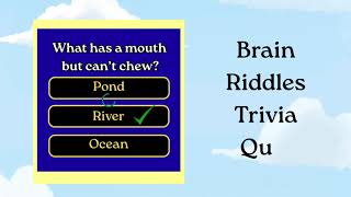 Brain Riddles: Trivia Quiz App. Here is the most wonderful riddle game! screenshot 1