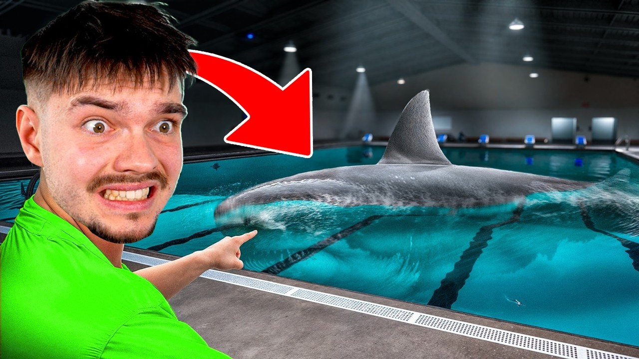 REKIN WŁAMAŁ SIĘ DO MOJEGO BASENU!