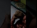 VID 20180917 WA0000
