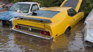 Flood Car Revival - 1973 Mustang Mach 1 - Part 1