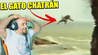 LA PELÍCULA JAPONESA MÁS INFAME - LAS AVENTURAS DE CHATRÁN