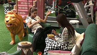 Bigg Boss 16 Live : Priyanka Chahar Choudhary And Archana Ke Vich Lgi Bohut Badi Sharat Shocked BB16