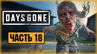 DAYS GONE #18 ☣️ - СТАРЫЙ РУДНИК и ПЬЯНАЯ ВЫХОДКА БУХАРЯ - Жизнь После (2021)