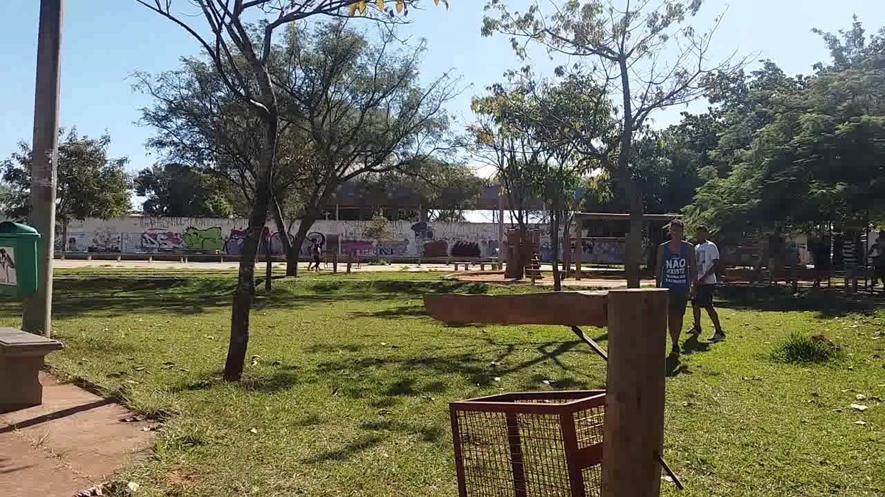 Parkour And Freerunning #12