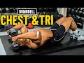 30 minute dumbbell chest  triceps workout no bench  build muscle 2