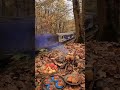 Train View in Forest #ytshorts #trending #views #viral #trending #travel #train #forest #foryou