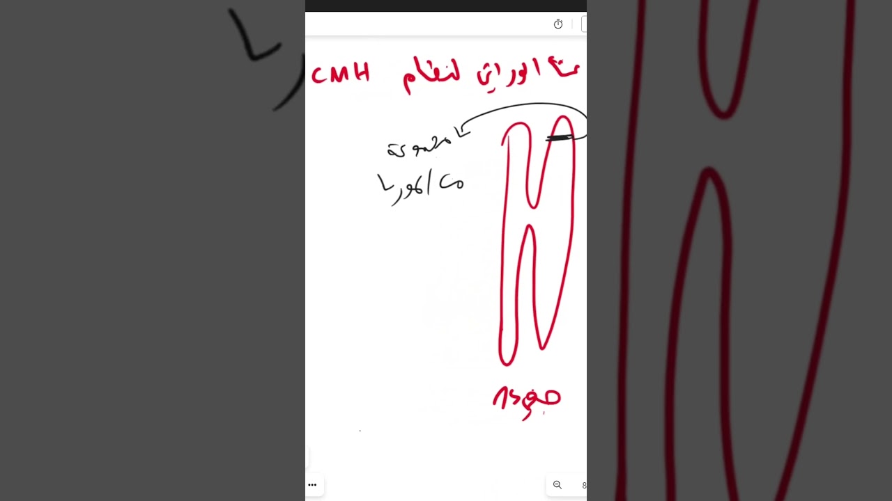 عوم و ما تبعدش 🏊🏊 !!