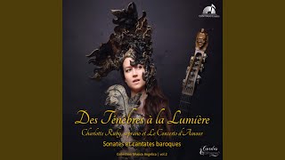 Sonate pour viole, violoncelle et basse continue, XVIII 58 15: III. Adagio et Aria (24 variations)