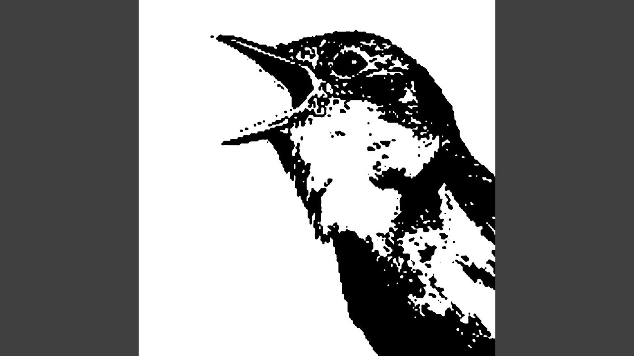 Watch Night on YouTube Watch Night on YouTube