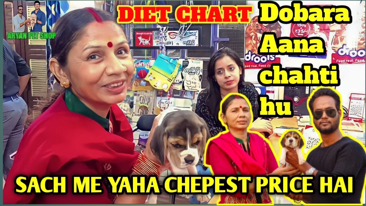 beagle-dog-in-patna-patna-dog-market-2022-dog-diet-plan-in-hindi