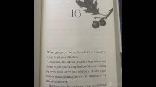 Wishtree chapters 16-21