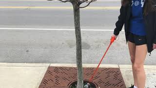 Cleaning Up Litter with BGGS