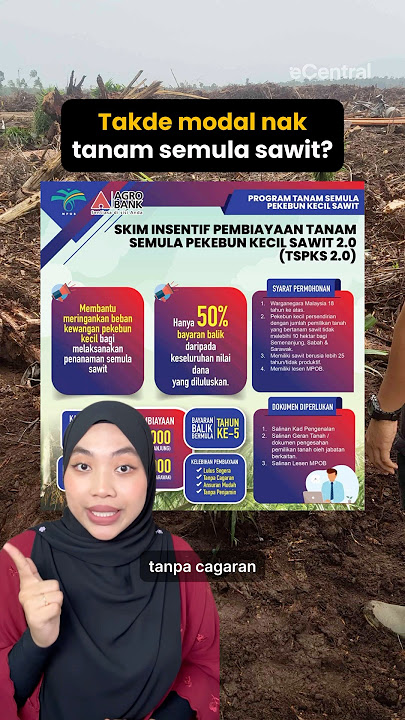 Insentif Pembiayaan Bantuan Tanam Semula Sawit Pekebun Kecil: Syarat & Cara Mohon #sawit
