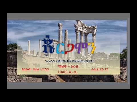 ቪዲዮ: ኒውት ፒኬት ይመለሳል?