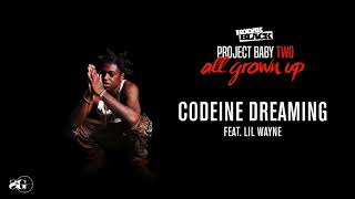 Kodak Black   Codeine Dreaming feat  Lil Wayne Official Audio