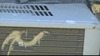 Disabled Father Thanks AEP for Fixing Power Line Issue