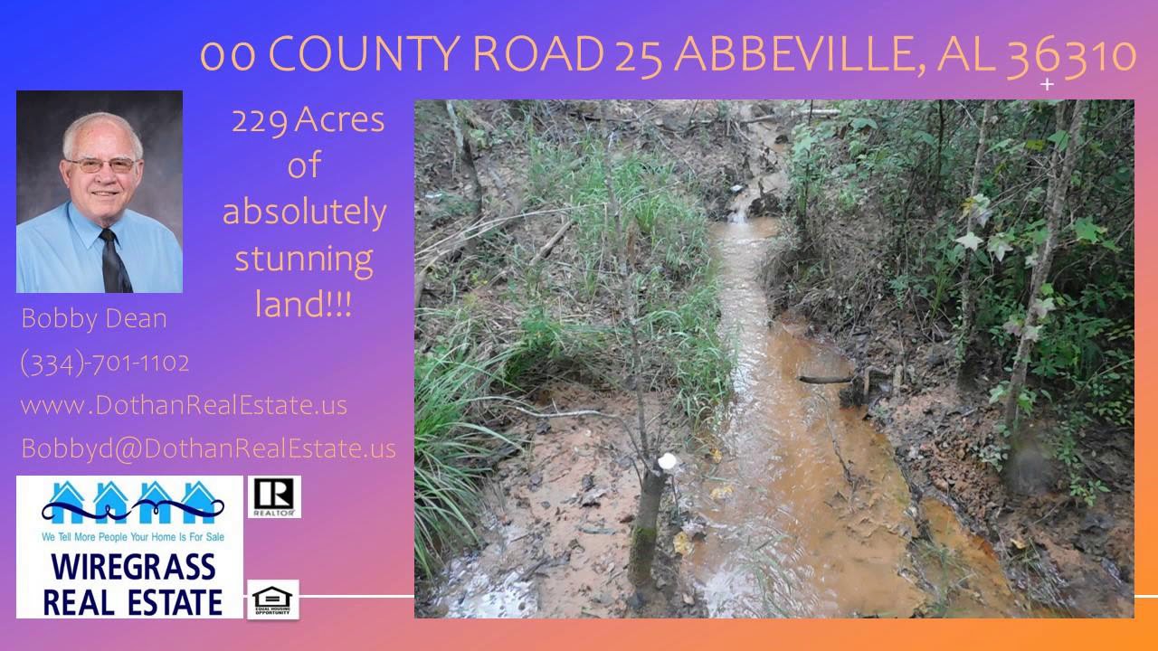229 acres of natural timberland & planted pines listed in Abbeville, Al