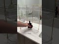 #уборкавванной #организацияпространства