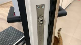 Краткий обзор умного дверного замка Хіаomi Smart Door Lock E XMZNMS04LM