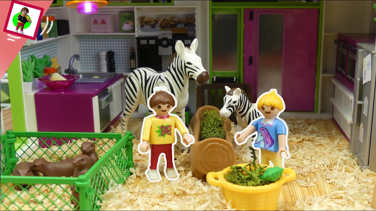 La Famille Jansen : Au secours, d'où viennent tous ces animaux ? Playmobil en francais