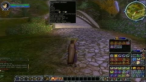 The Lord of the Rings Online: Shadows of Angmar PC