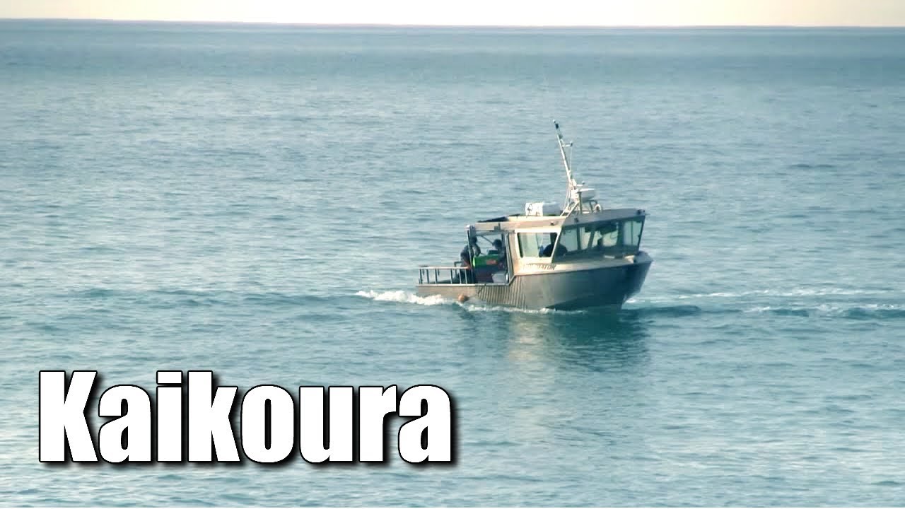 Cray Fishing Boat Kaikoura 