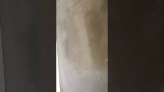 IMG 3374 1