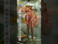 「タコとトマトの和風スープパスタ 」