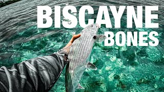 Sight Fishing Bonefish In ULTRA CLEAR Water | Biscayne Bay