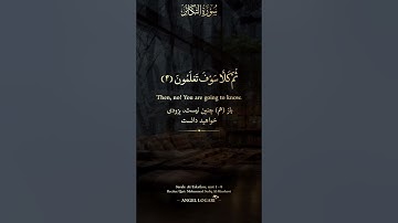 شیخ محمد صدیق المنشاوی رحمة الله - سورة التکاثر، آیه ۱ - ۸