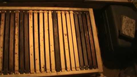 Horizontal hive part 2