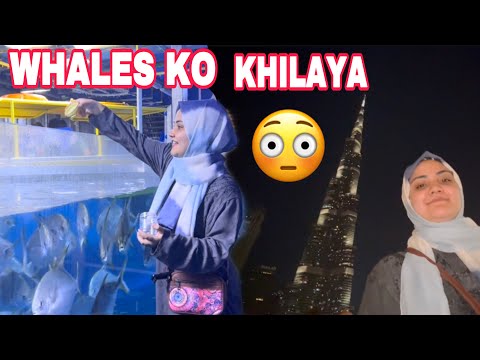 Vlog || Dubai Aquarium Burj Khalifa|| UAE Ep 1